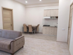 Apartment Teko